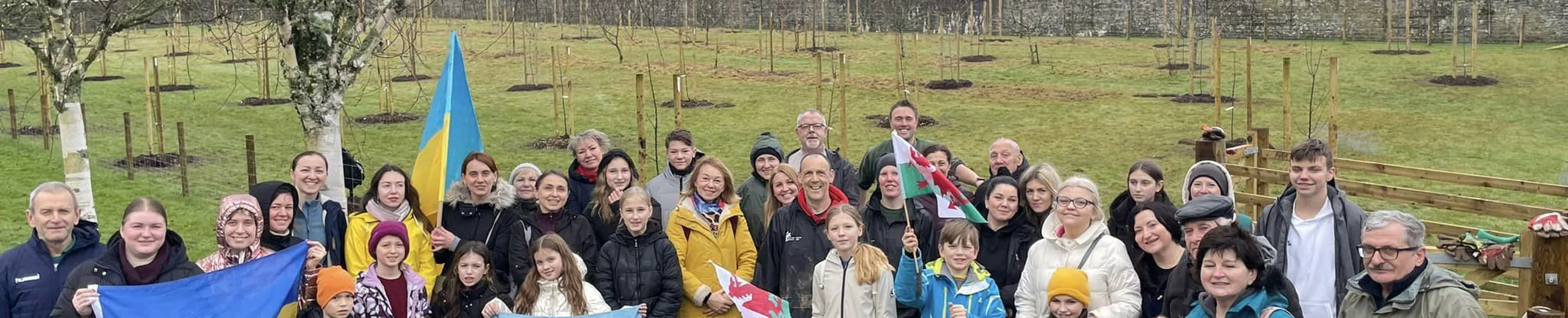 Planting apple orchard at the National Botanic Garden of Wales