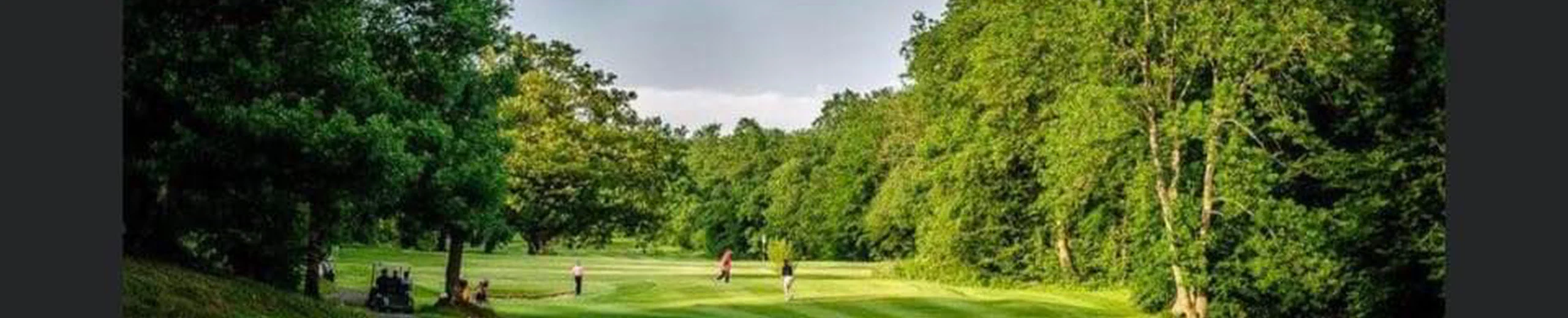 Ukrainian Charity Golf Day at Glynhir Golf Club Ammanford